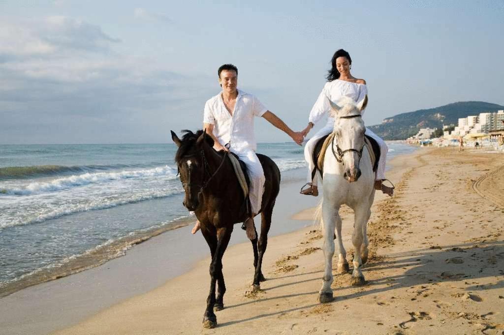 Hotel Arabella Beach アルベナ エクステリア 写真